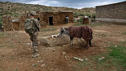 Illustration En quête de chair fraîche