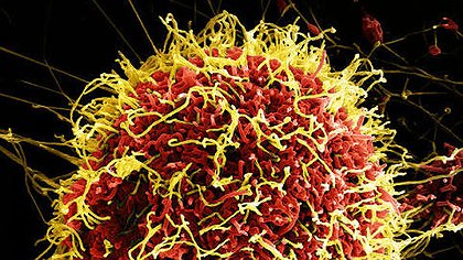 Illustration une épidémie de la misère