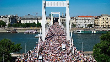 Illustration article